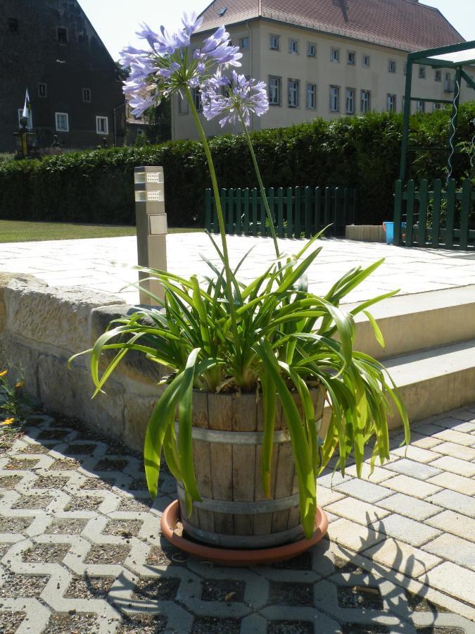 Kaitzbach-Idylle Apartment Dresden Bagian luar foto
